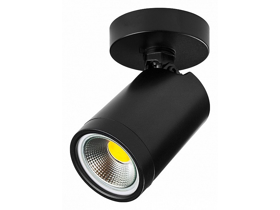 Светильник на штанге Lightstar Rullo 213407