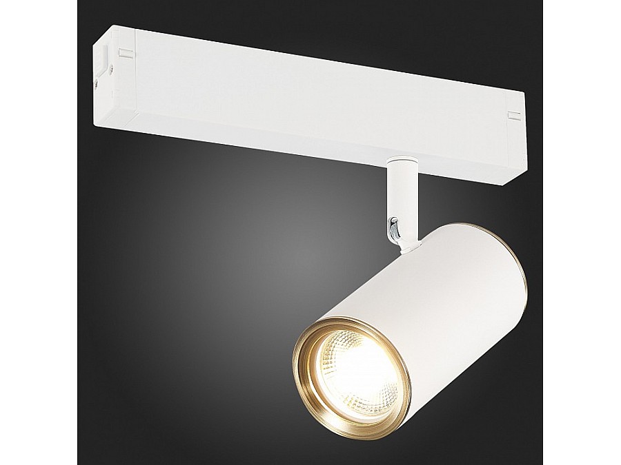 Светильник на штанге ST-Luce SKYLINE 220 ST504.536.01