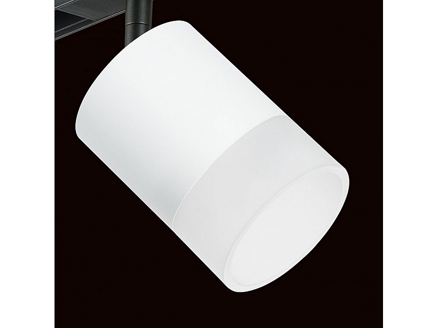 Светильник на штанге Lightstar Rullo PRO348681