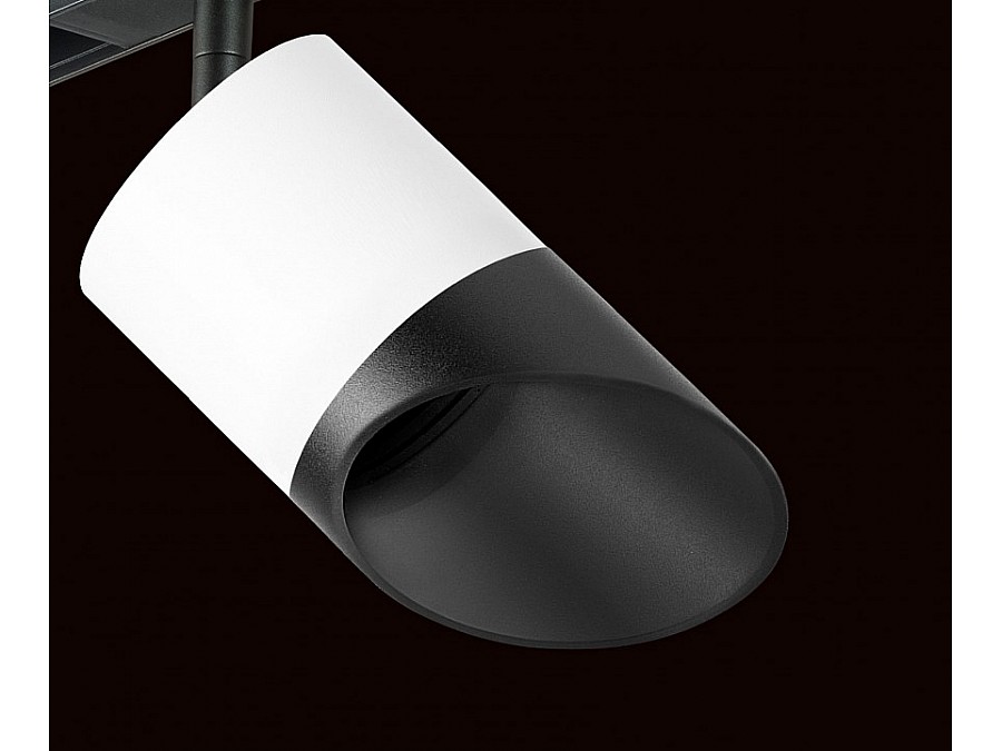 Светильник на штанге Lightstar Rullo PRO348687