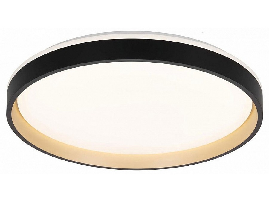 Накладной светильник Citilux ENZO CL753511G