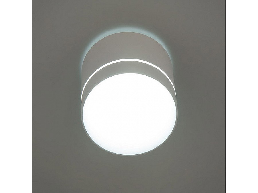 Накладной светильник Citilux Борн CL745020N