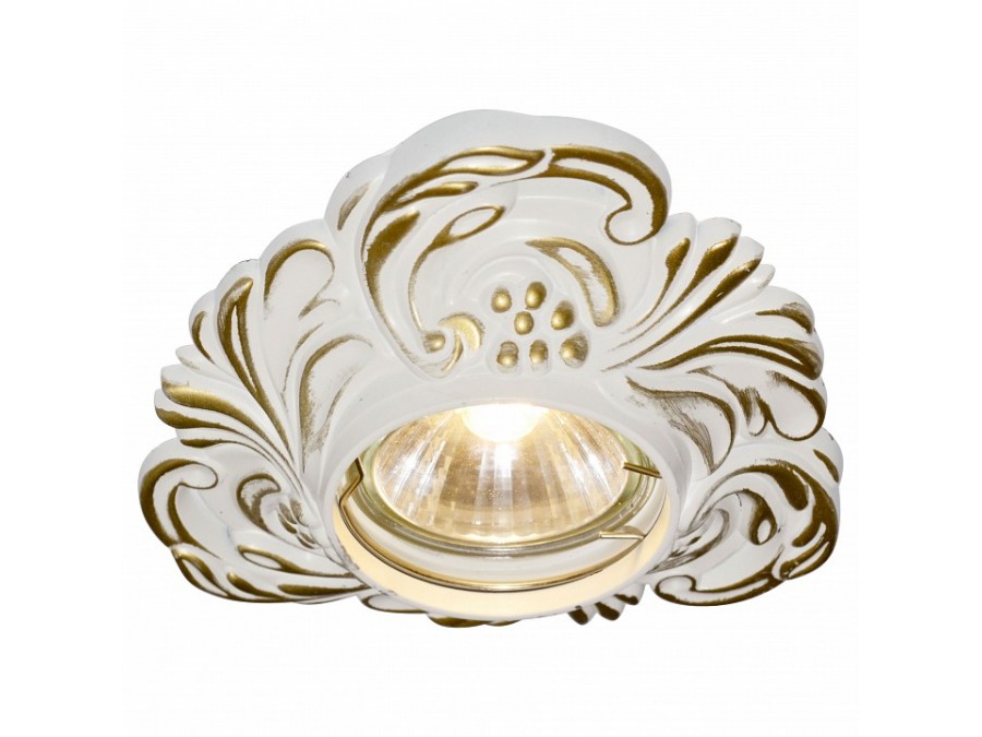 Встраиваемый светильник Arte Lamp Occhio A5285PL-1SG