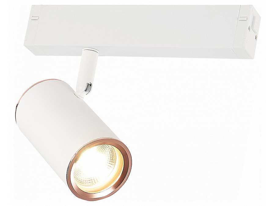 Светильник на штанге ST-Luce SKYLINE 220 ST504.526.01