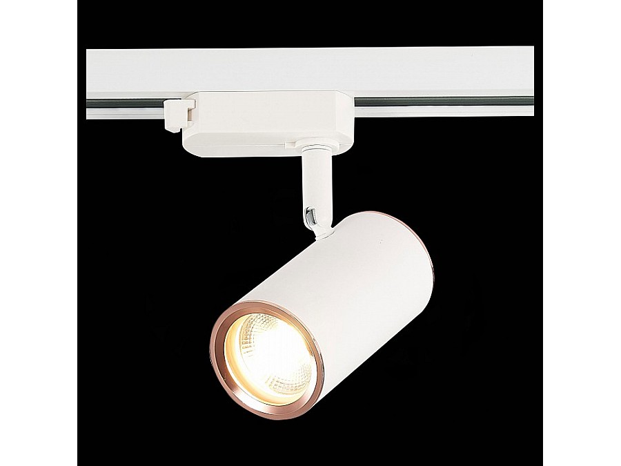 Светильник на штанге ST-Luce Cromi ST301.526.01