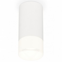 Накладной светильник Ambrella Light XS XS8161003