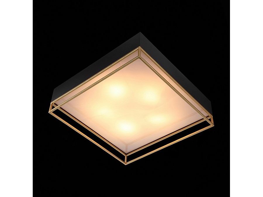 Накладной светильник ST-Luce Chodo SL1127.422.05