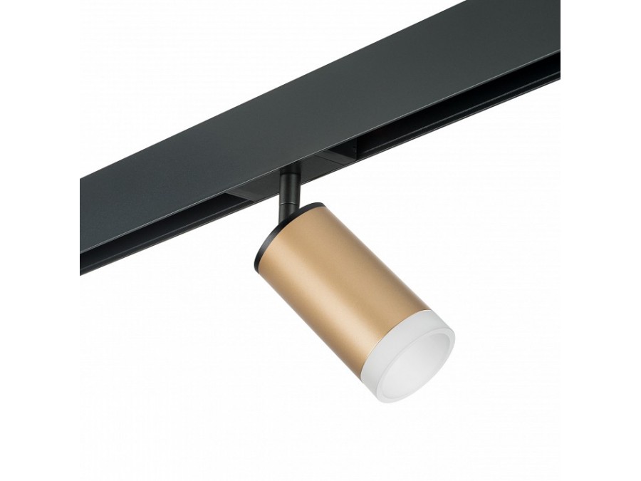 Светильник на штанге Lightstar Rullo PRO44030