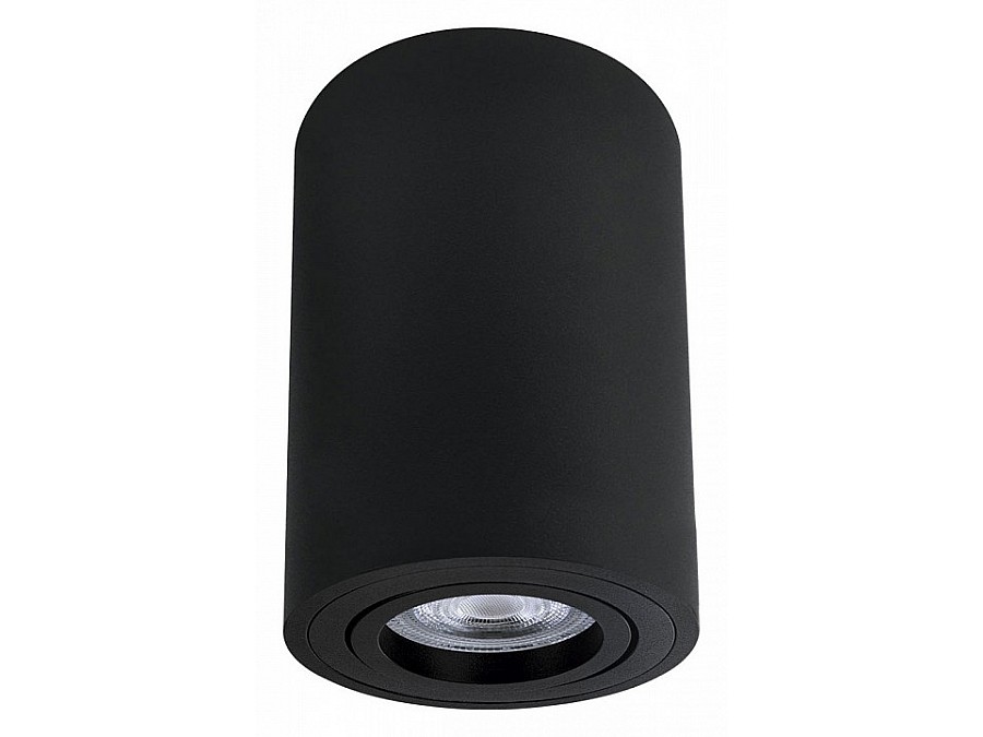 Накладной светильник Arte Lamp Sentry A1566PL-1BK