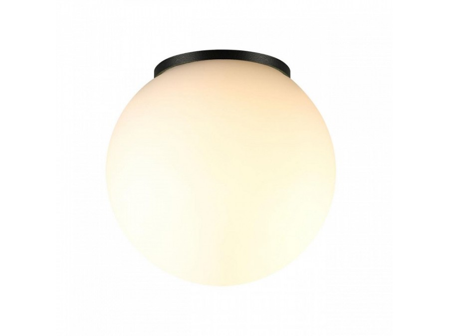 Накладной светильник Odeon Light NATURE 7124/1C