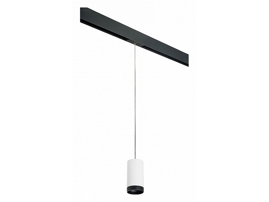 Подвесной светильник Lightstar Rullo PRORP4363437