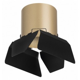 Накладной светильник Lightstar Rullo R3490487