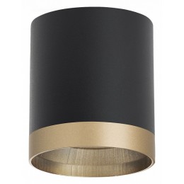 Накладной светильник Lightstar Rullo R348790