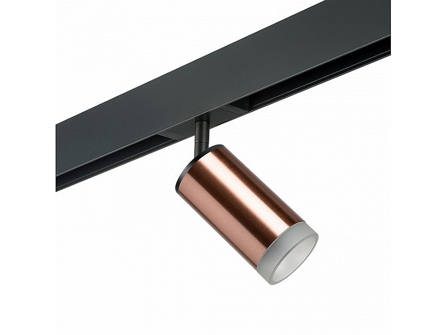 Светильник на штанге Lightstar Rullo PRO430430