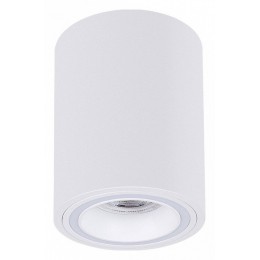 Накладной светильник Arte Lamp Imai A2267PL-1WH