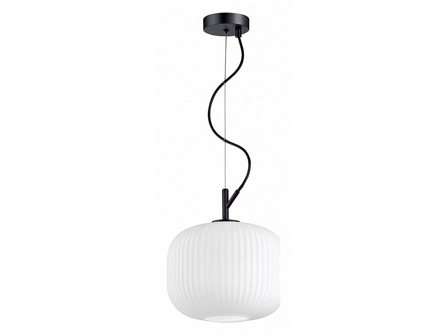 Подвесной светильник Odeon Light Roofi 4753/1