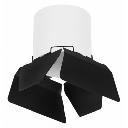 Накладной светильник Lightstar Rullo R3486487