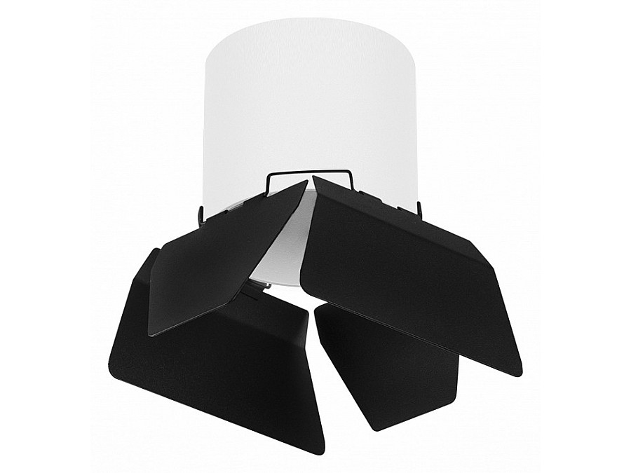 Накладной светильник Lightstar Rullo R3486487