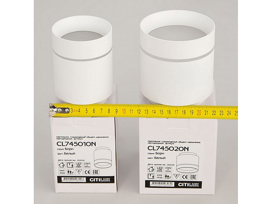 Накладной светильник Citilux Борн CL745010N