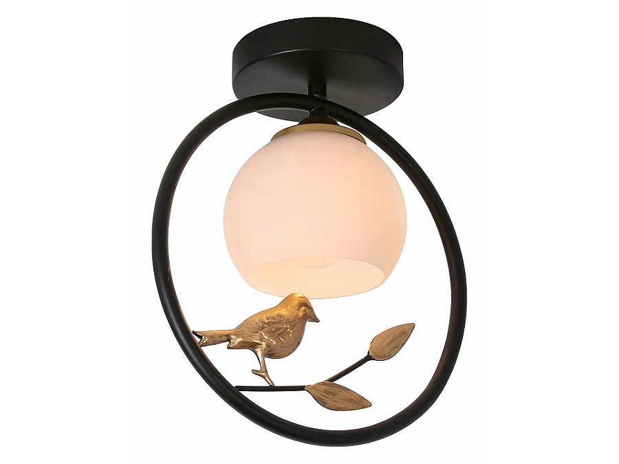 Накладной светильник Escada Song 1113/1P Black