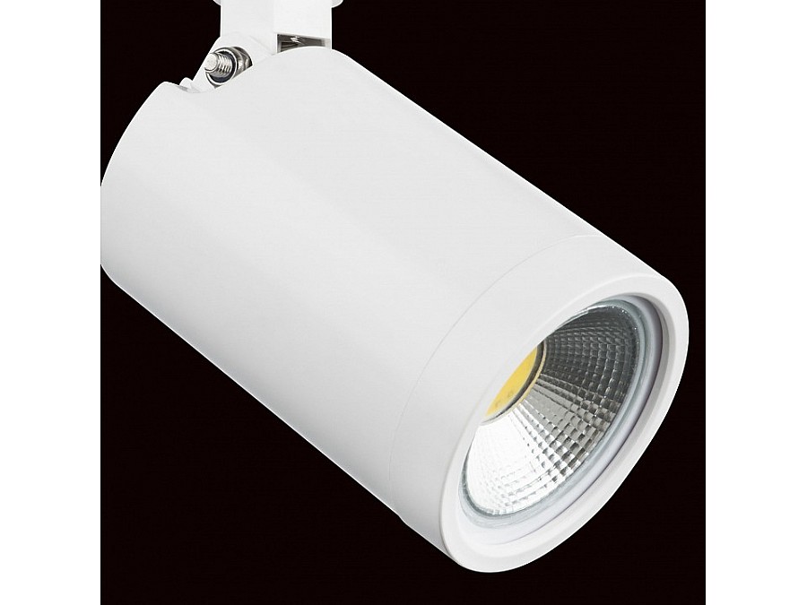 Светильник на штанге Lightstar Rullo 212936