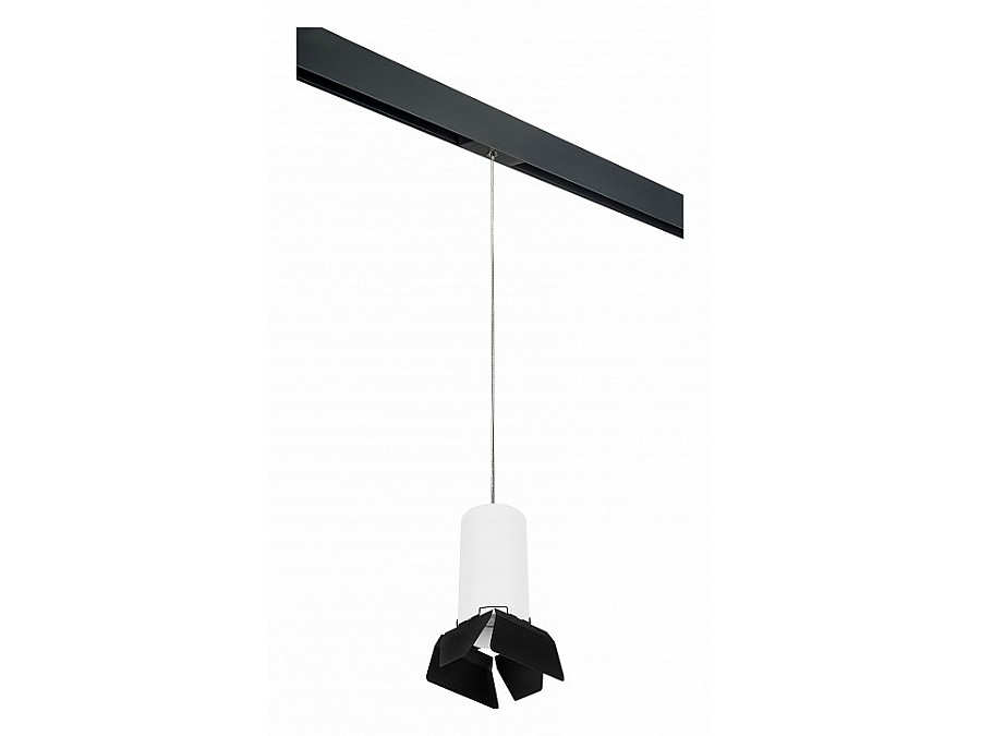 Подвесной светильник Lightstar Rullo PRORP6486487