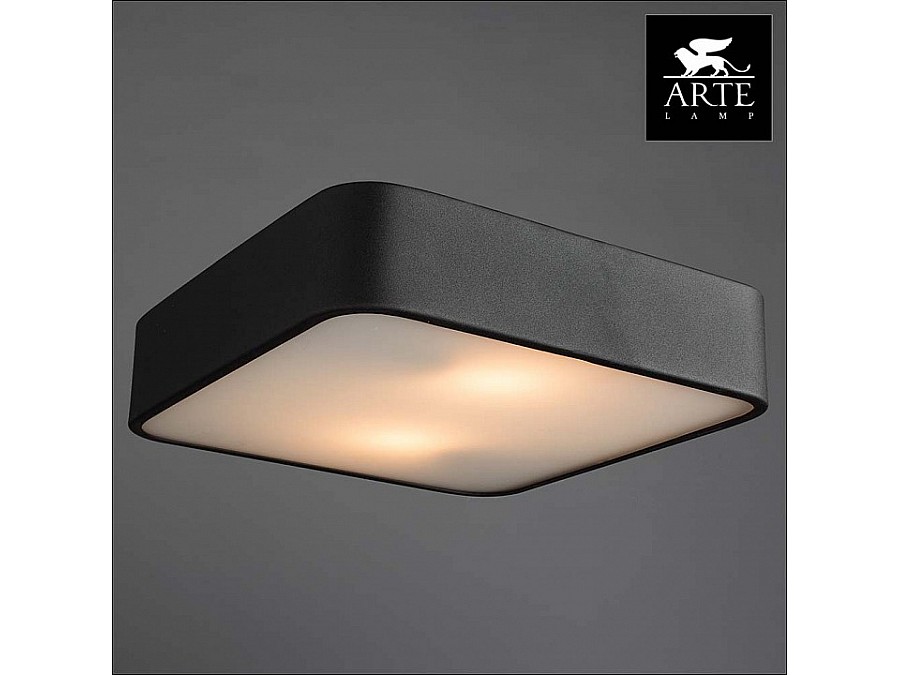 Накладной светильник Arte Lamp Cosmopolitan A7210PL-2BK