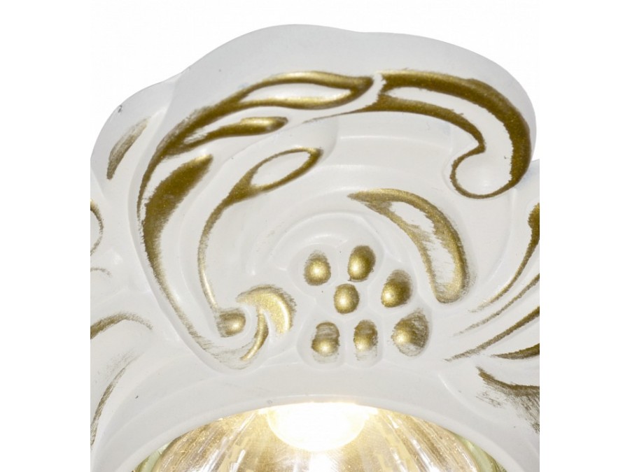 Встраиваемый светильник Arte Lamp Occhio A5285PL-1SG