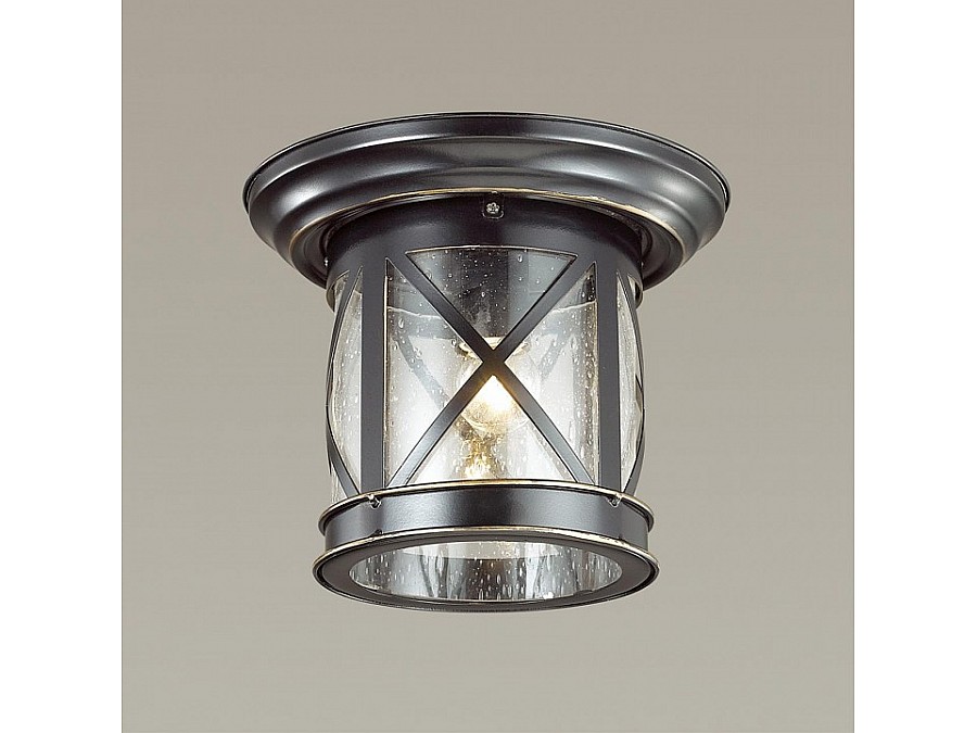 Накладной светильник Odeon Light Sation 4045/1C