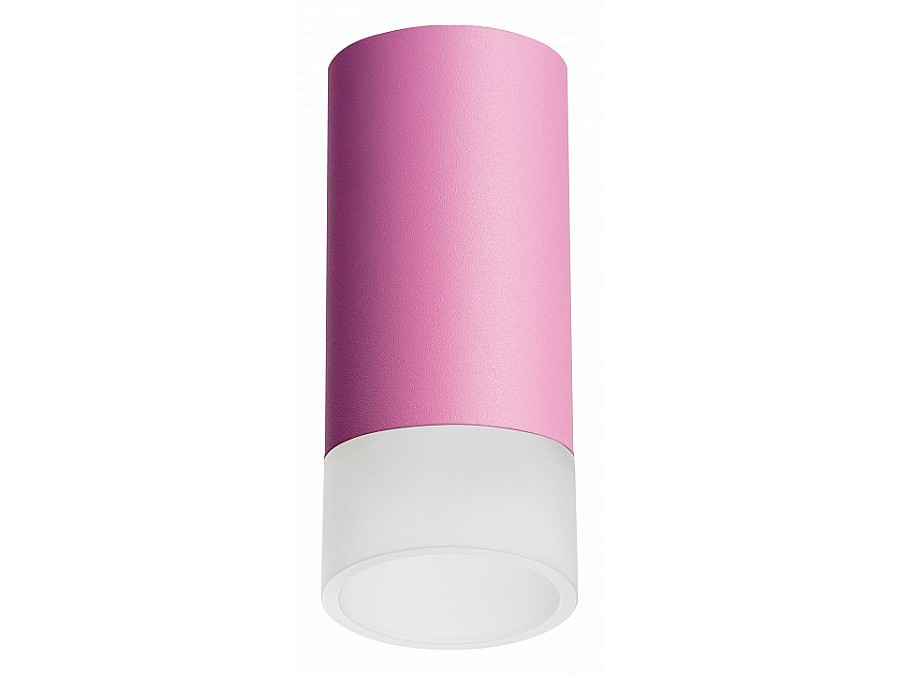 Накладной светильник Lightstar Rullo R43231