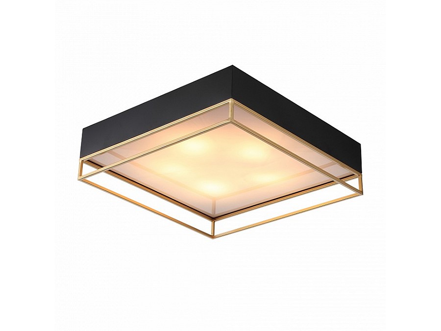 Накладной светильник ST-Luce Chodo SL1127.422.05