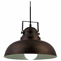 Подвесной светильник Arte Lamp Martin A5213SP-1BR