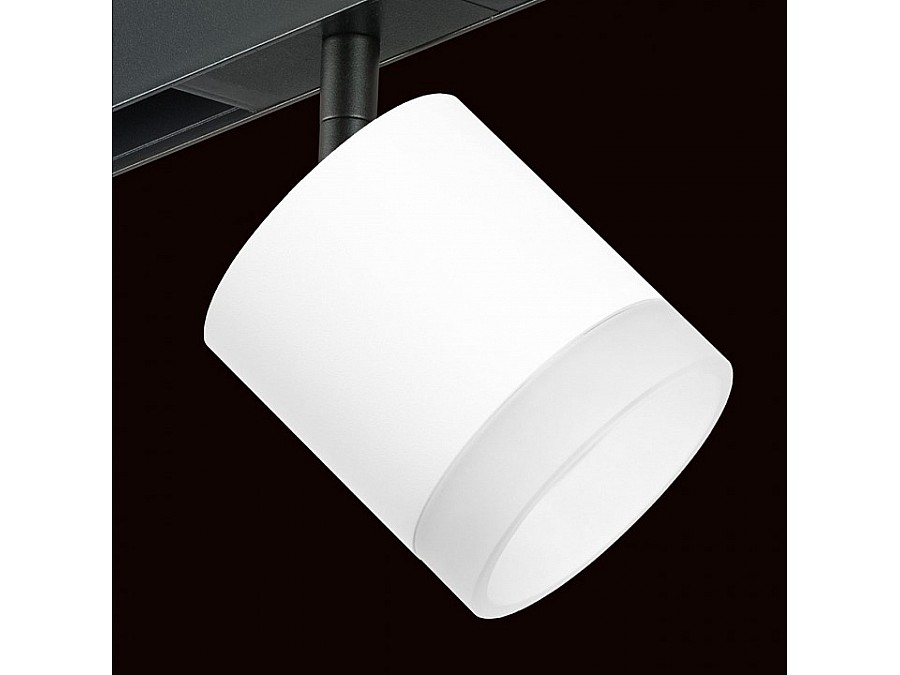 Светильник на штанге Lightstar Rullo PRO348680