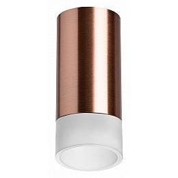 Накладной светильник Lightstar Rullo R43031