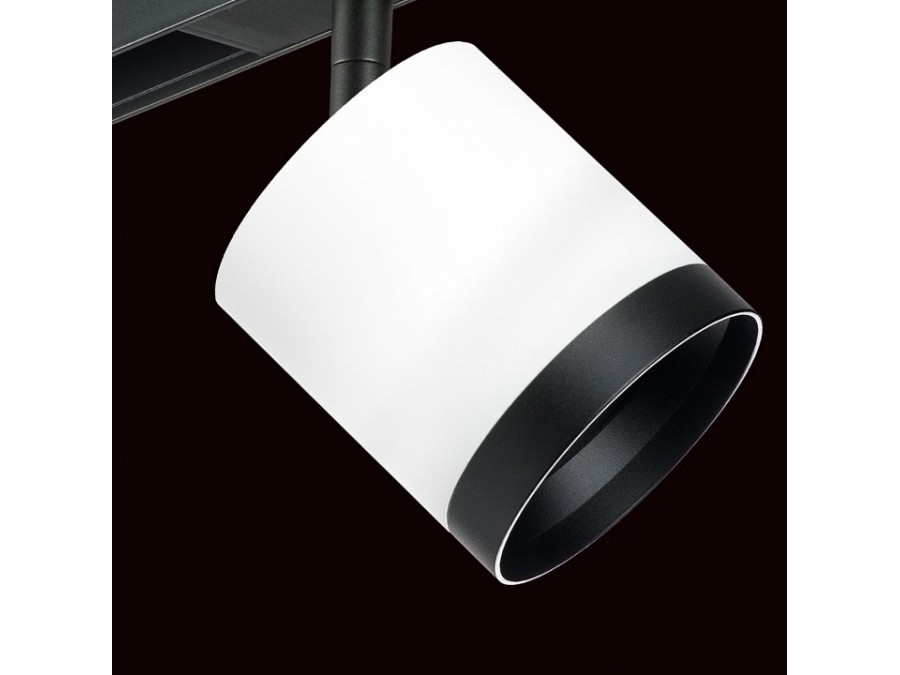 Светильник на штанге Lightstar Rullo PRO34863487