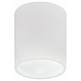 Накладной светильник Lightstar Solido E27 216626