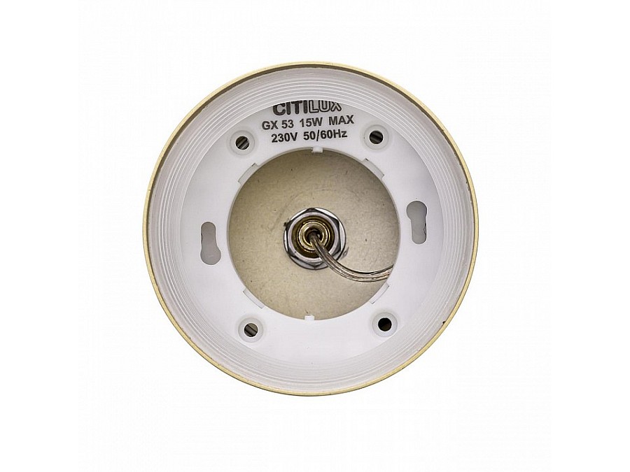 Подвесной светильник Citilux Hardy CL002P12