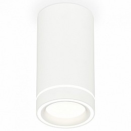 Накладной светильник Ambrella Light XS XS8161004