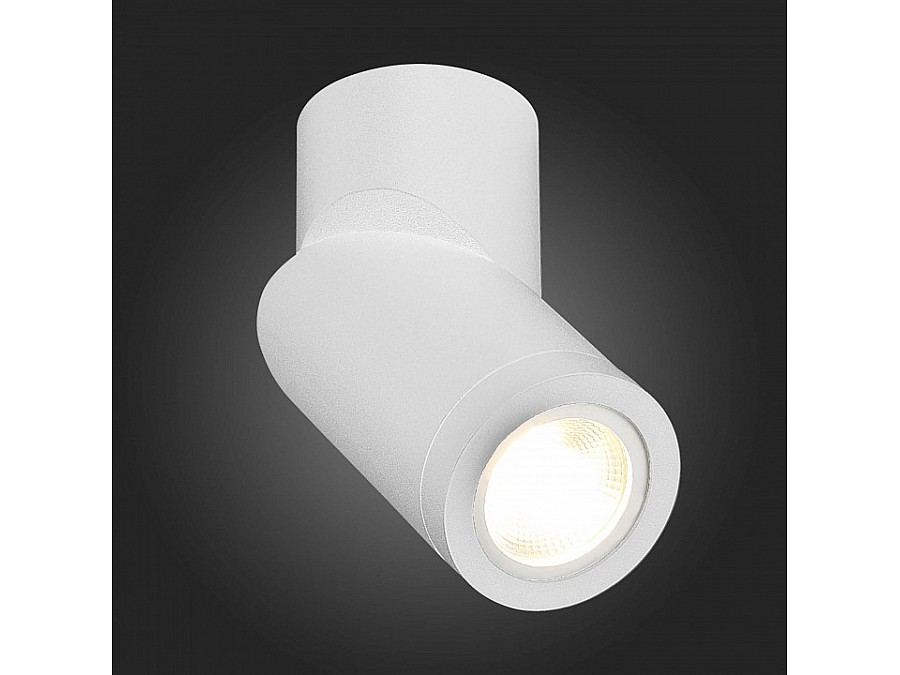 Светильник на штанге ST-Luce ST650 ST650.502.01
