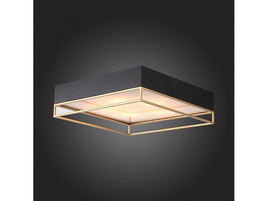 Накладной светильник ST-Luce Chodo SL1127.422.05