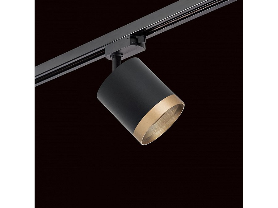 Светильник на штанге Lightstar Rullo R1T348790