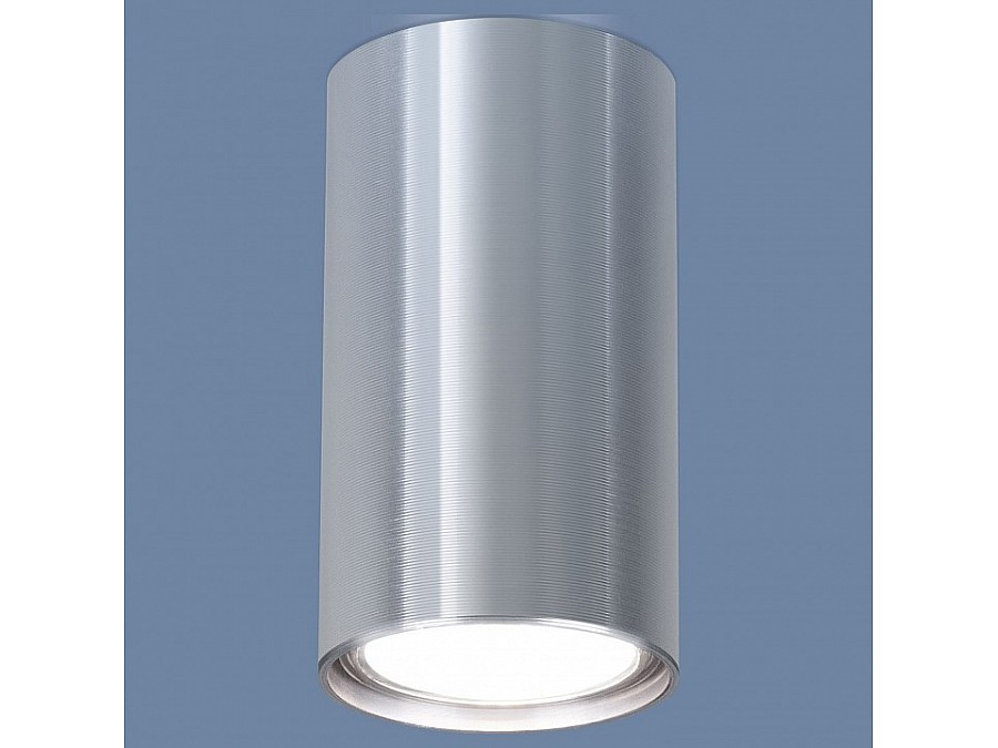 Накладной светильник Elektrostandard 1081 a038491