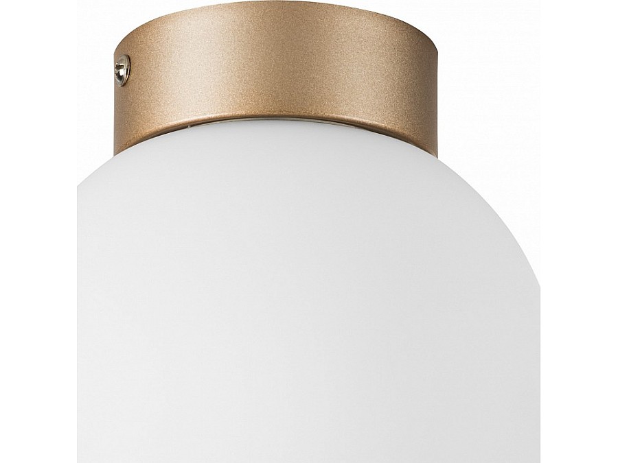 Накладной светильник Lightstar Globo 812013