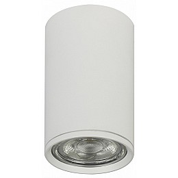 Накладной светильник Escada 20001 20001SMU/01 SWH