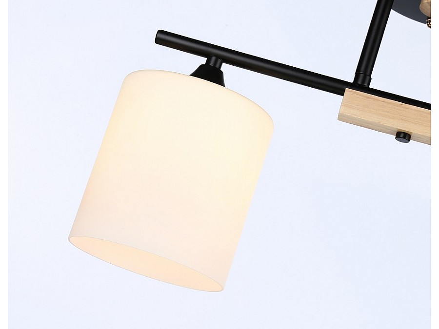 Светильник на штанге Ambrella TR TR9543