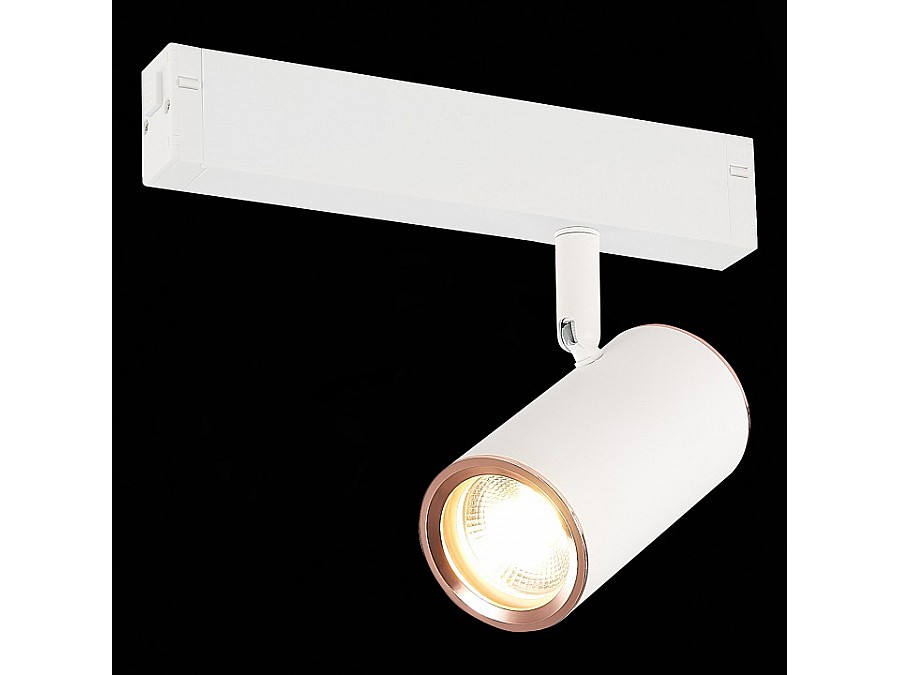 Светильник на штанге ST-Luce SKYLINE 220 ST504.526.01