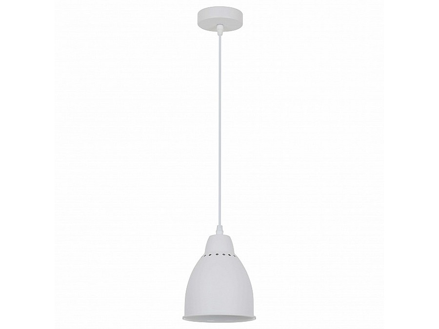 Подвесной светильник Arte Lamp Braccio A2054SP-1WH