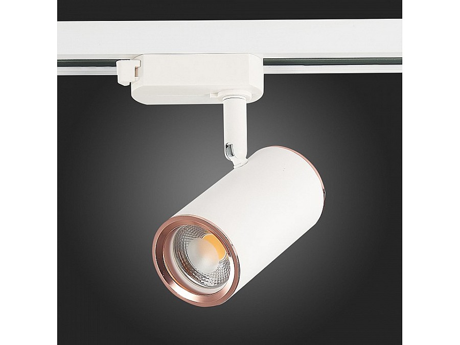 Светильник на штанге ST-Luce Cromi ST301.526.01