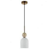 Подвесной светильник Odeon Light MIDCENT 6625/1B