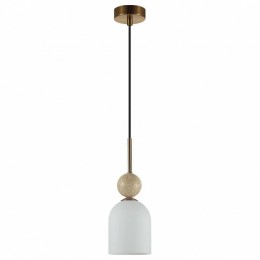 Подвесной светильник Odeon Light MIDCENT 6625/1B